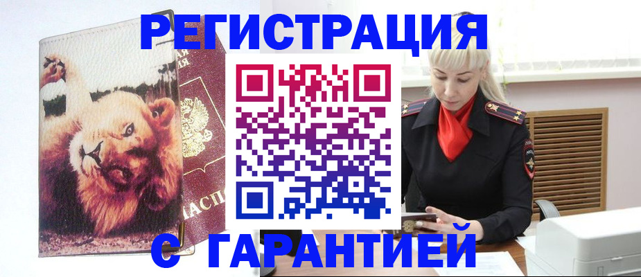 прописка от собственника в Димитровграде